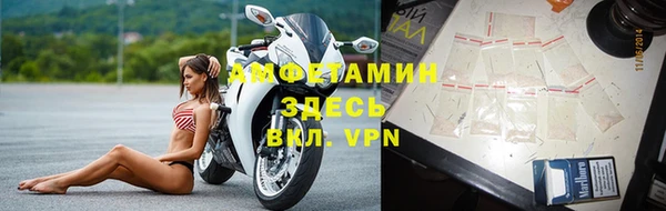 a pvp Бородино