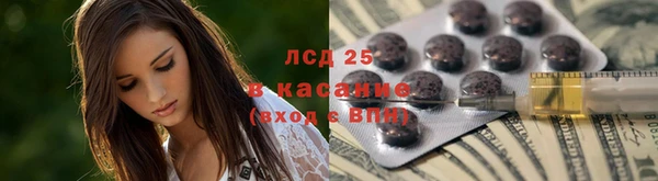 a pvp Бородино