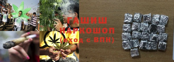 a pvp Бородино